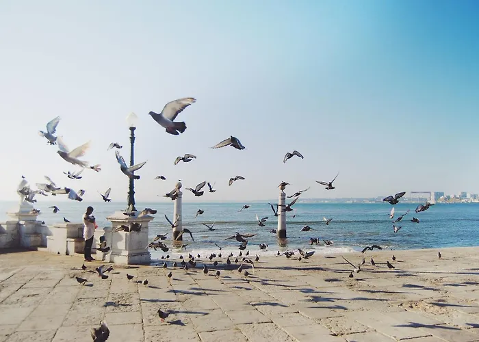 فندق Dare House Lisboa